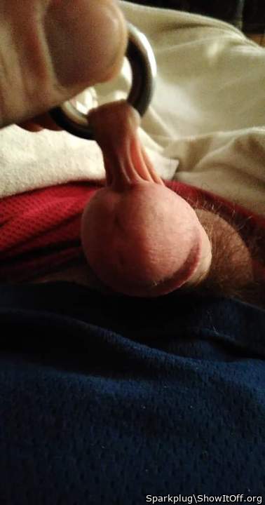 Going for my morning stretch . Anyone want to join
