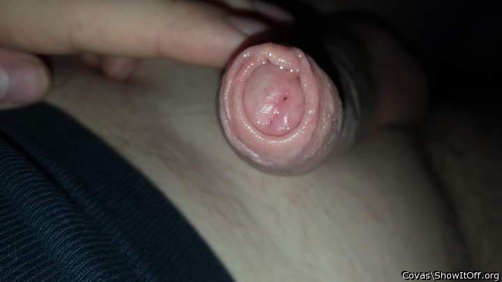 Lovely uncut cock