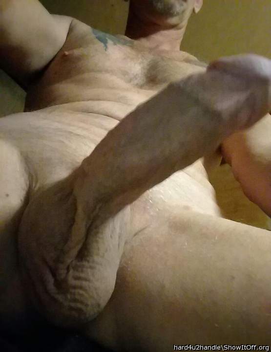 Photo of a weasel from hard4u2handle