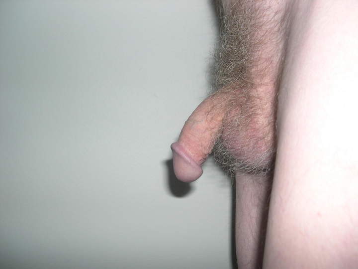 Photo of a cock from jollyroger
