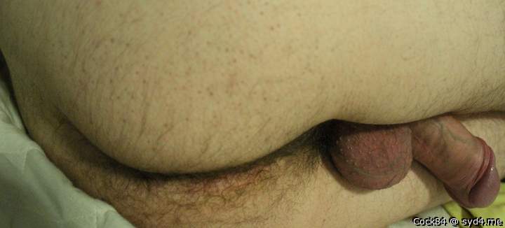 Photo of a hot dog from Cock84