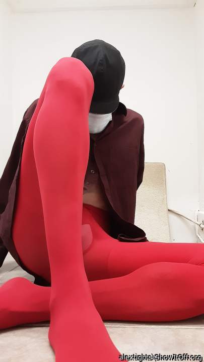 Photo of a weasel from alextights