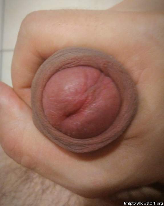 Photo of a dick from tmtptt