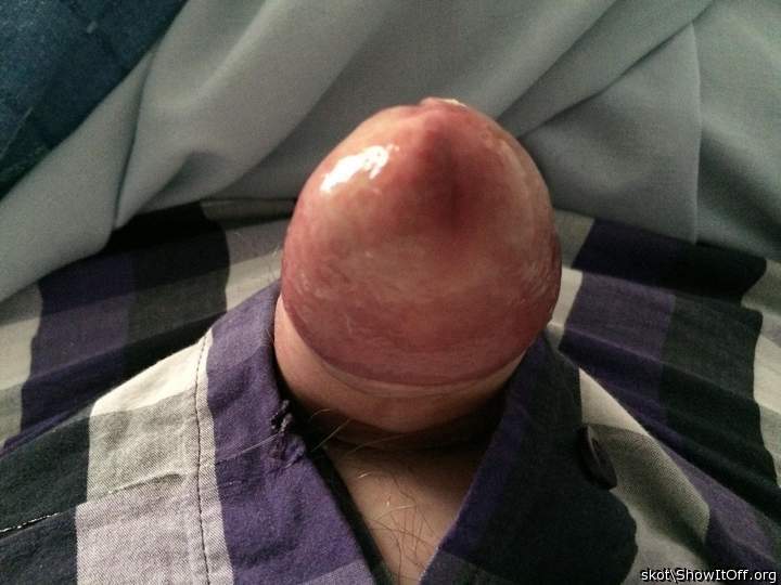 Shiny head again