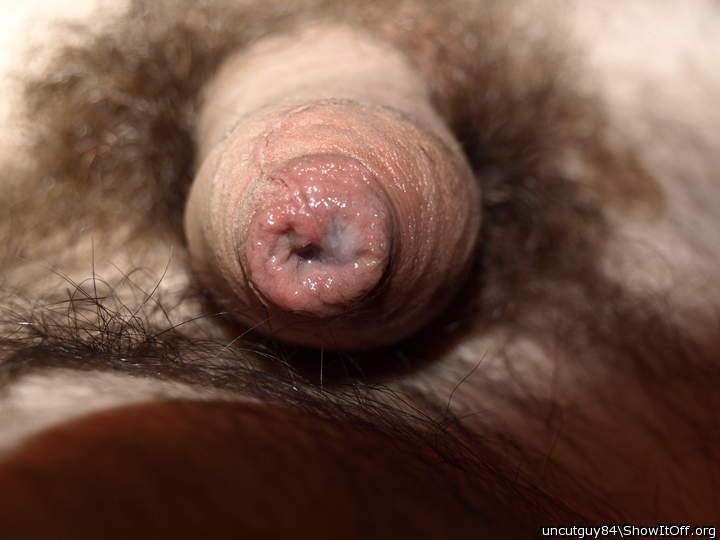 Photo of a thing from uncutguy84