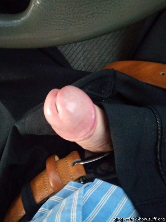 Photo of a private part from gingerzim