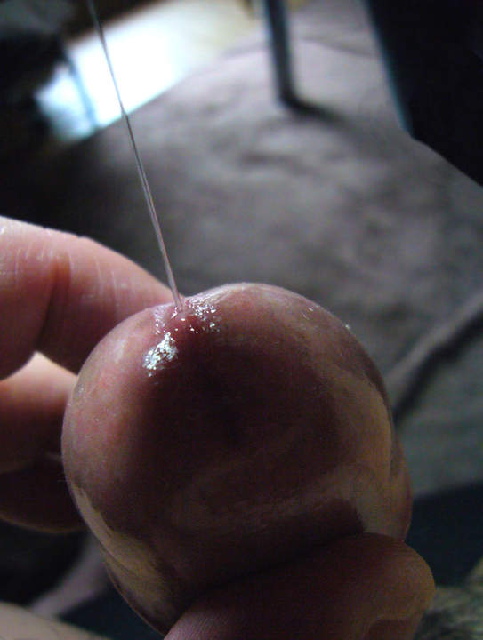 Shining String of Precum