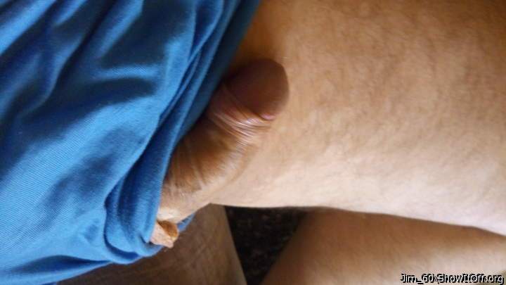 Photo of a cavalier from Jim_60