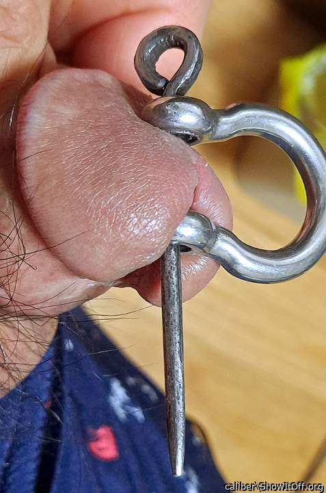 Photo of a horn from caliber