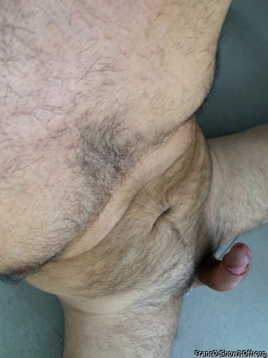 Photo of a weasel from Franc0