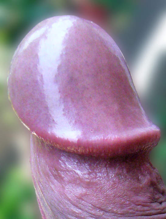 Sankei 2 (&#29158;&#33550;)