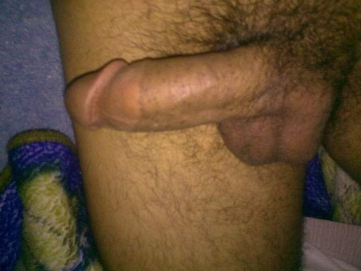 Photo of a dong from sultan