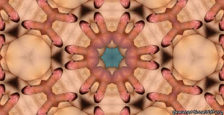 Photo of a hot dog from pkwiener