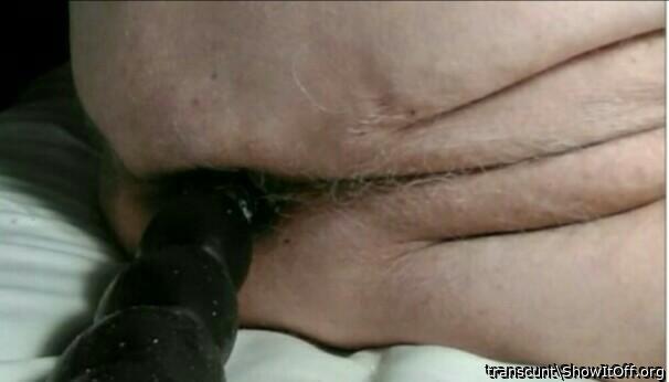 Photo of a middle leg from transcunt