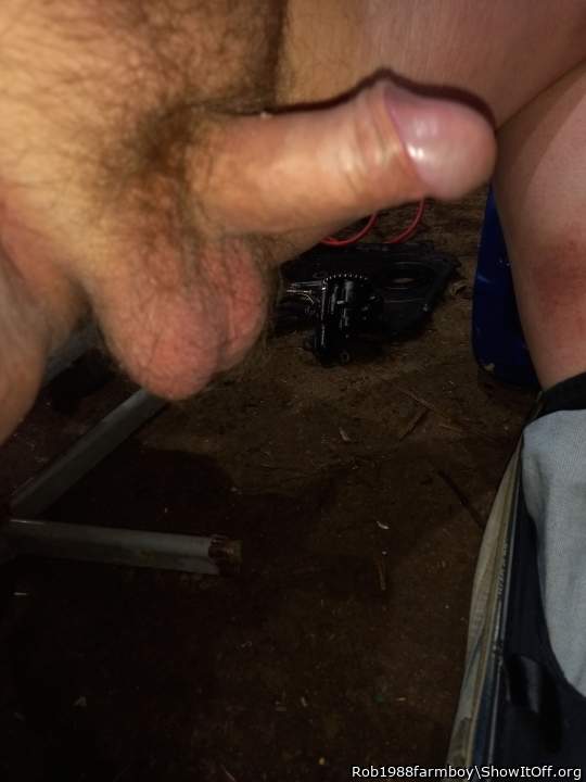 Testicles Photo from Rob1988farmboy