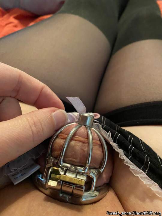 Photo of a pecker from Sweet_anna