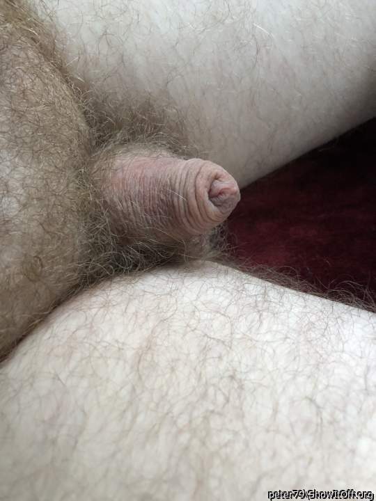 Looks delicious! 