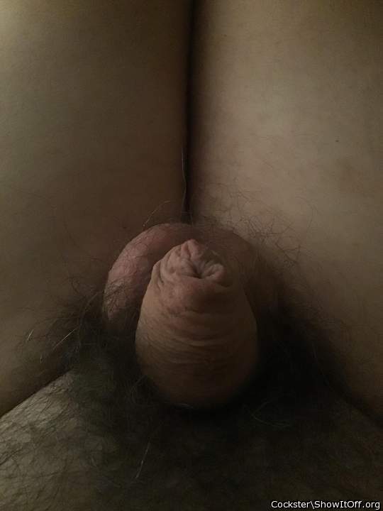 Photo of a third leg from Cockster