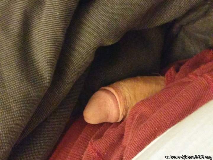 Photo of a third leg from eelworm