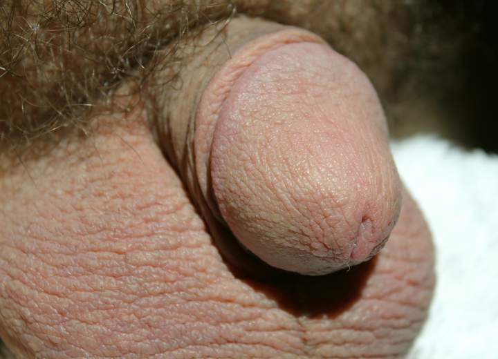 Photo of a stiffie from lilsoftee