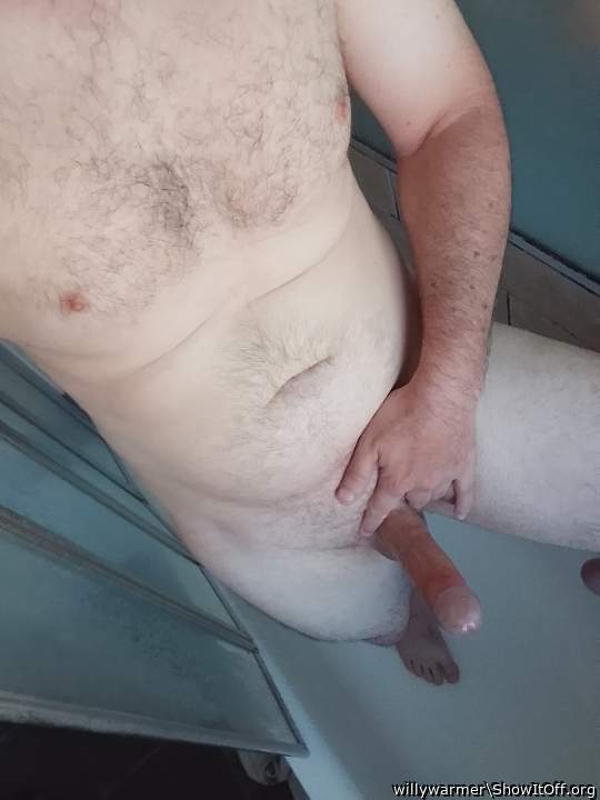 Photo of a horn from willywarmer