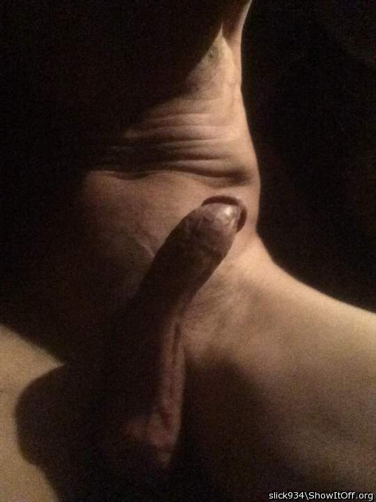 Cock bathed in light 