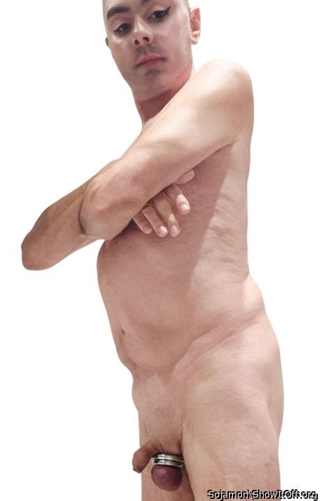 Photo of a middle leg from Sojamon