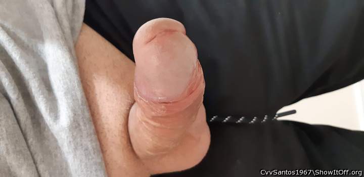 Photo of a cock from CvvSantos1967