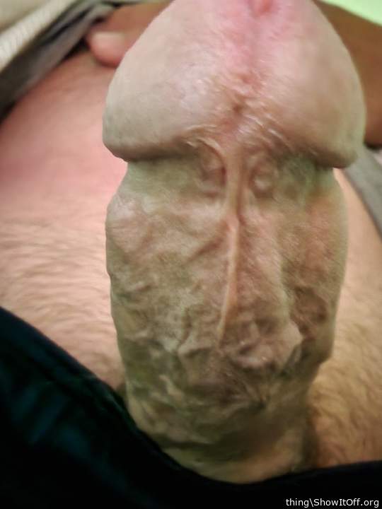 Photo of a dick from thing