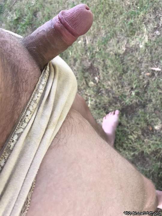 Nice cock on display  