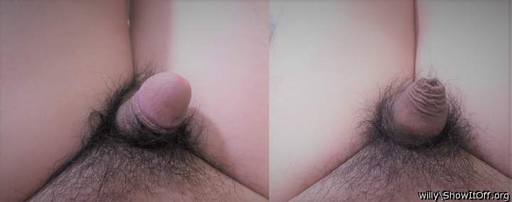 Sissy Small Dick Getting Smaller