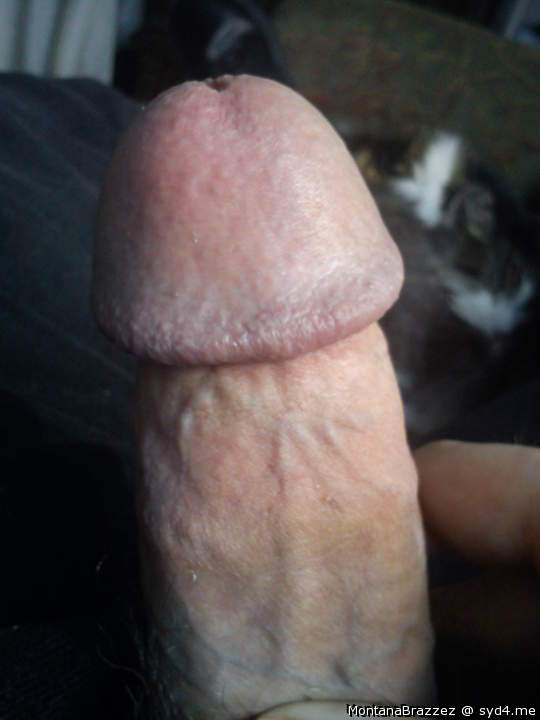 Photo of a joystick from Montanabrazzez
