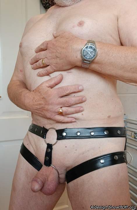 What an awesome leather harness, It looks like it feels grea