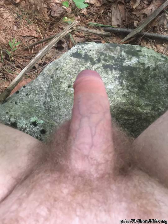Photo of a power tool from peter79