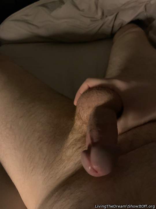 Photo of a weasel from LivingTheDream