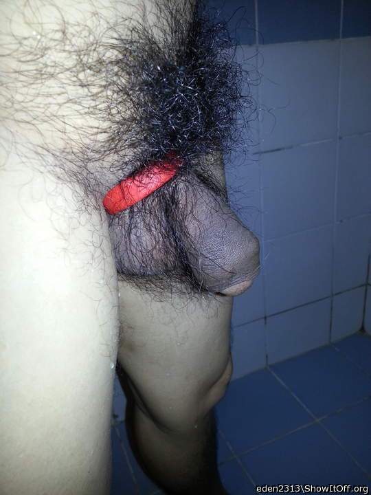 Photo of a cock from eden2313