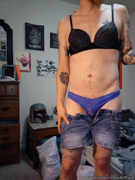 Photo of a lizard from NedFlanders