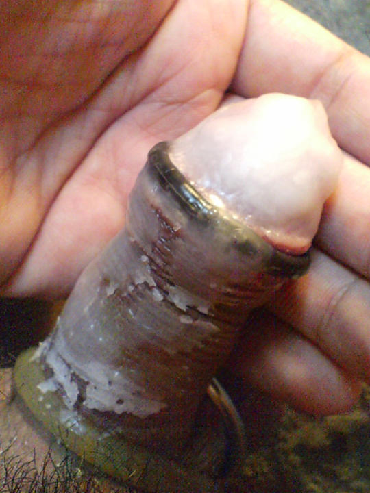 Photo of a horn from DEXXX3