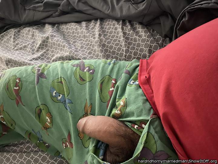 Turtle in a half shell