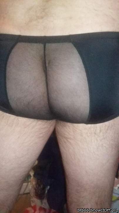 Photo of a middle leg from tiit666