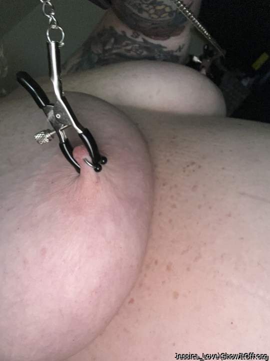 Photo of a snake from Jessica_Love