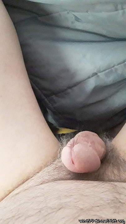 needs loving
