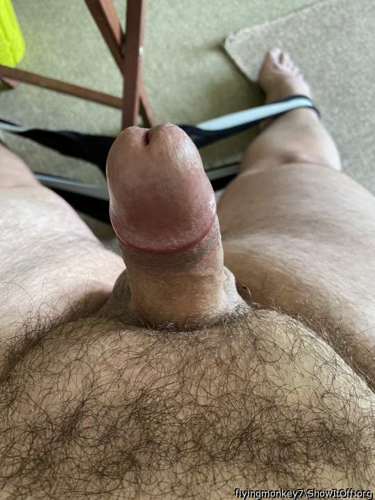 Photo of a horn from flyingmonkey7