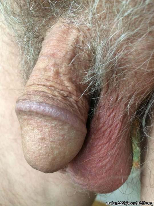 Hairy ...  The way I like a guy's cock 