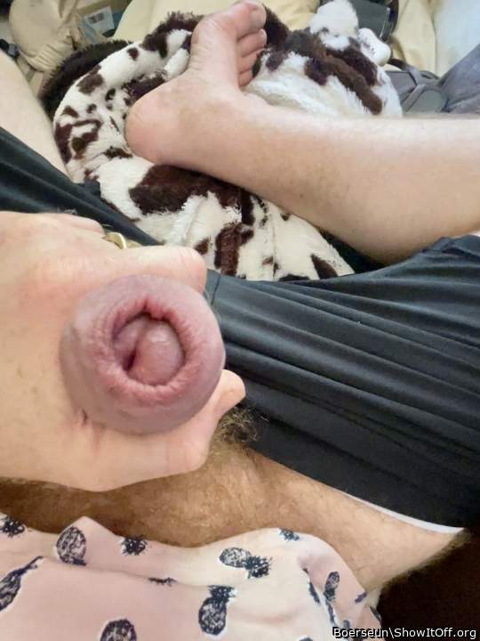 Good enough to lick  