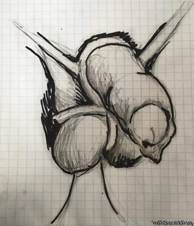 dick drawing trade from Caliboner :)