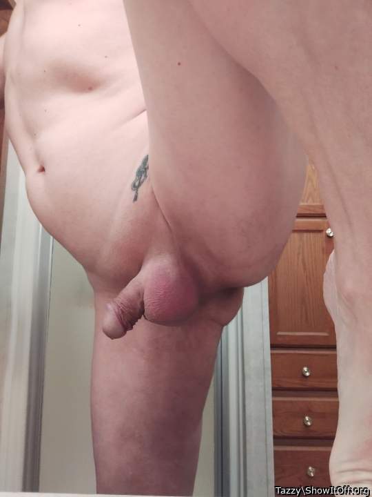 Photo of a ram rod from Tazzy