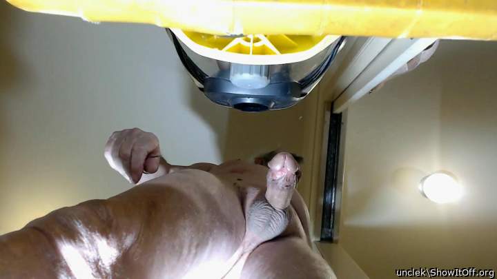 Photo of a lizard from unclek