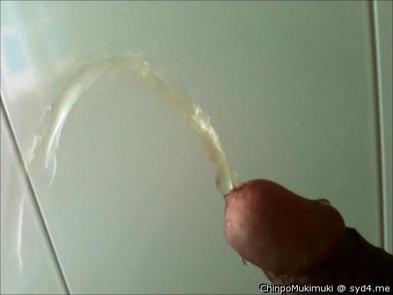 Pee Arch