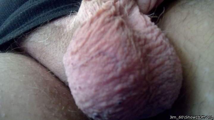 My shaved balls